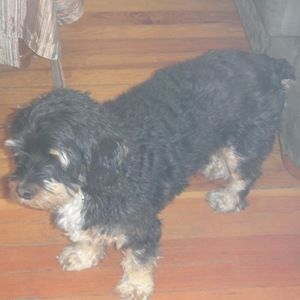 Meet your Posher, Norah